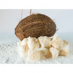 Kokos-Marshmallows : handgemacht